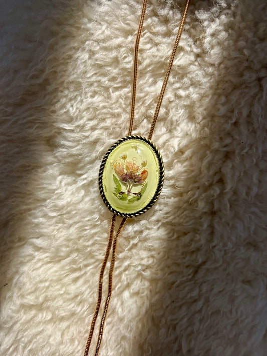 30mm Rosemary + Butter Yellow Bolo