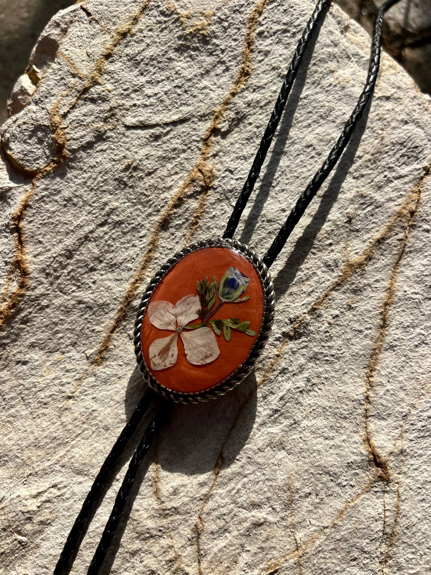 Blue eyes and Hydrangea on Terracotta