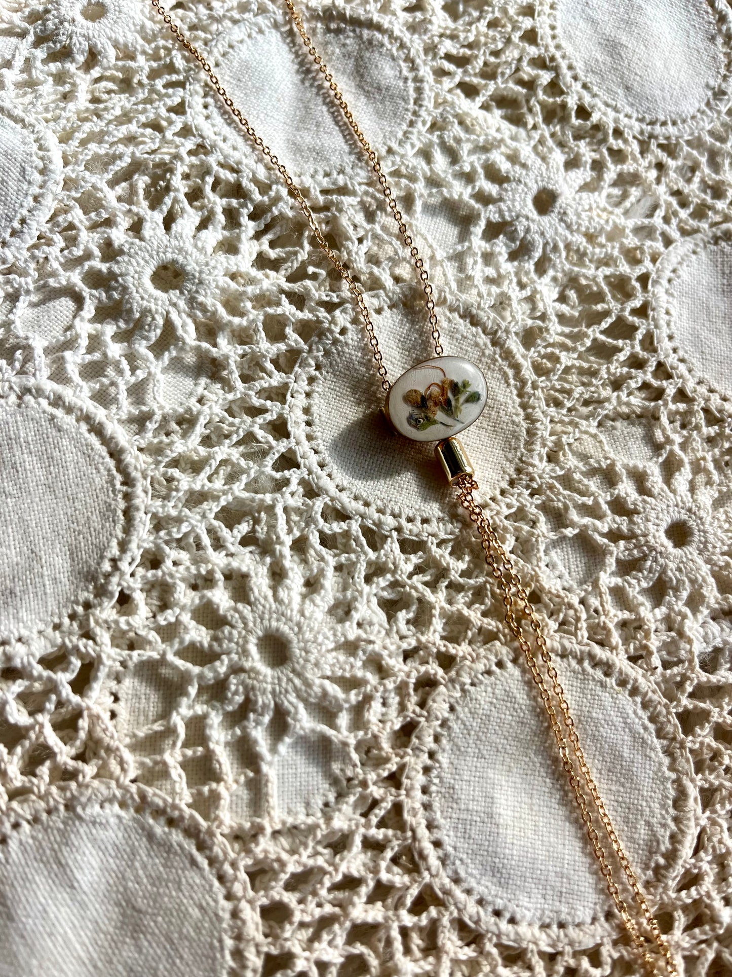 Dainty Bolo - Rosemary blossom spring 2024 on White