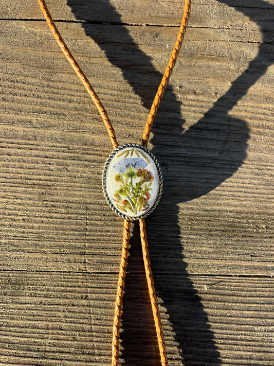 30mm blue eyes on white