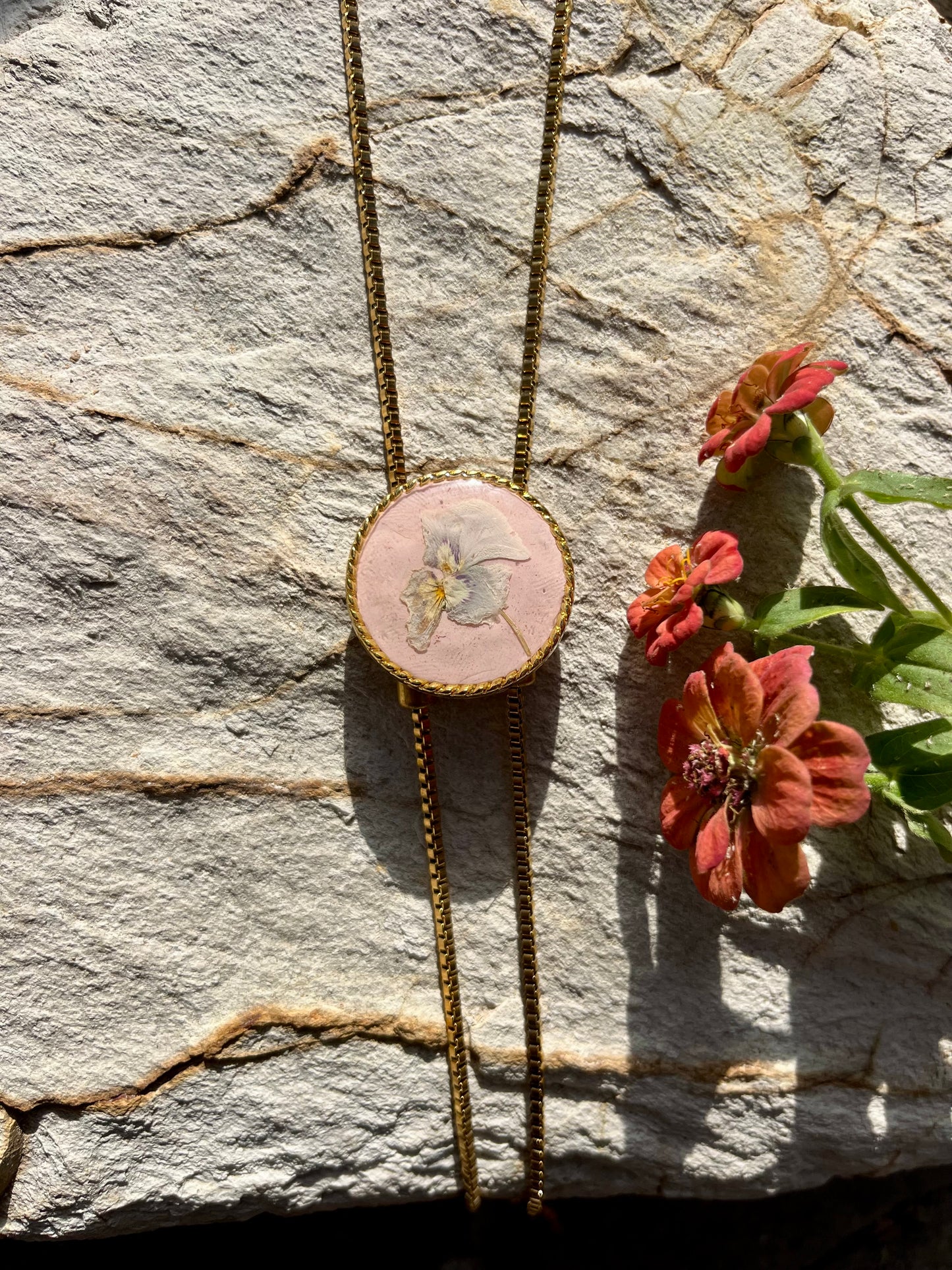 Hydrangea on Powder Pink