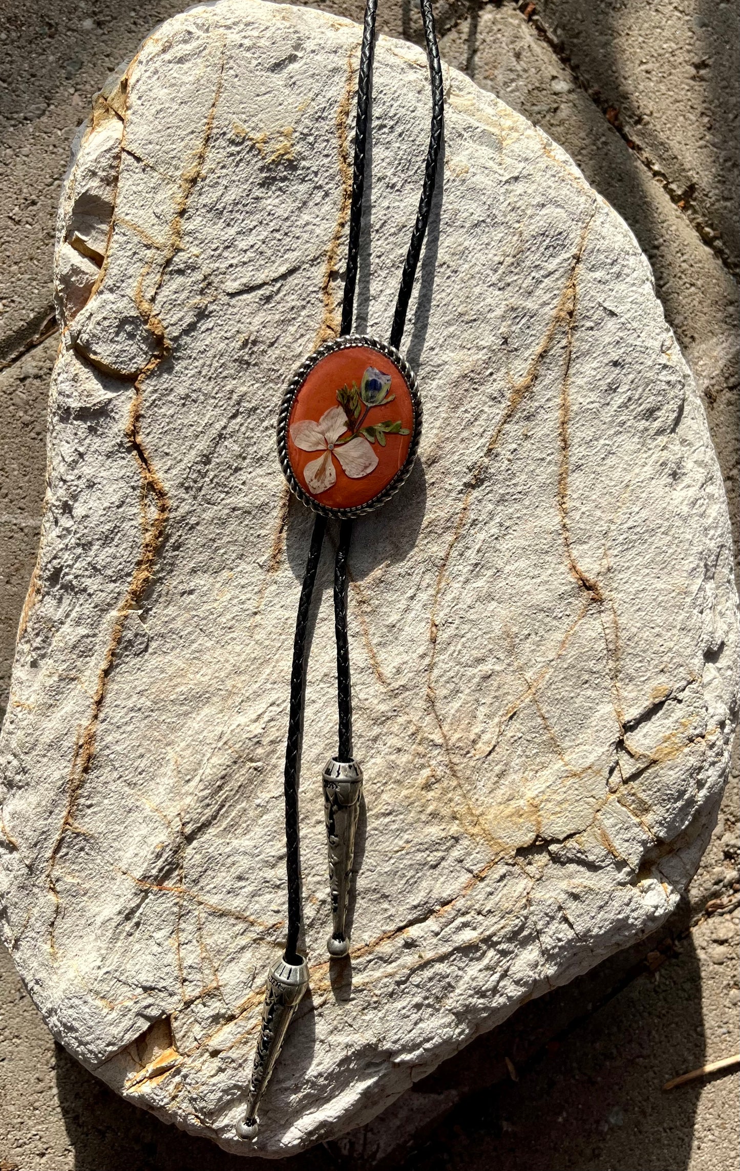 Blue eyes and Hydrangea on Terracotta