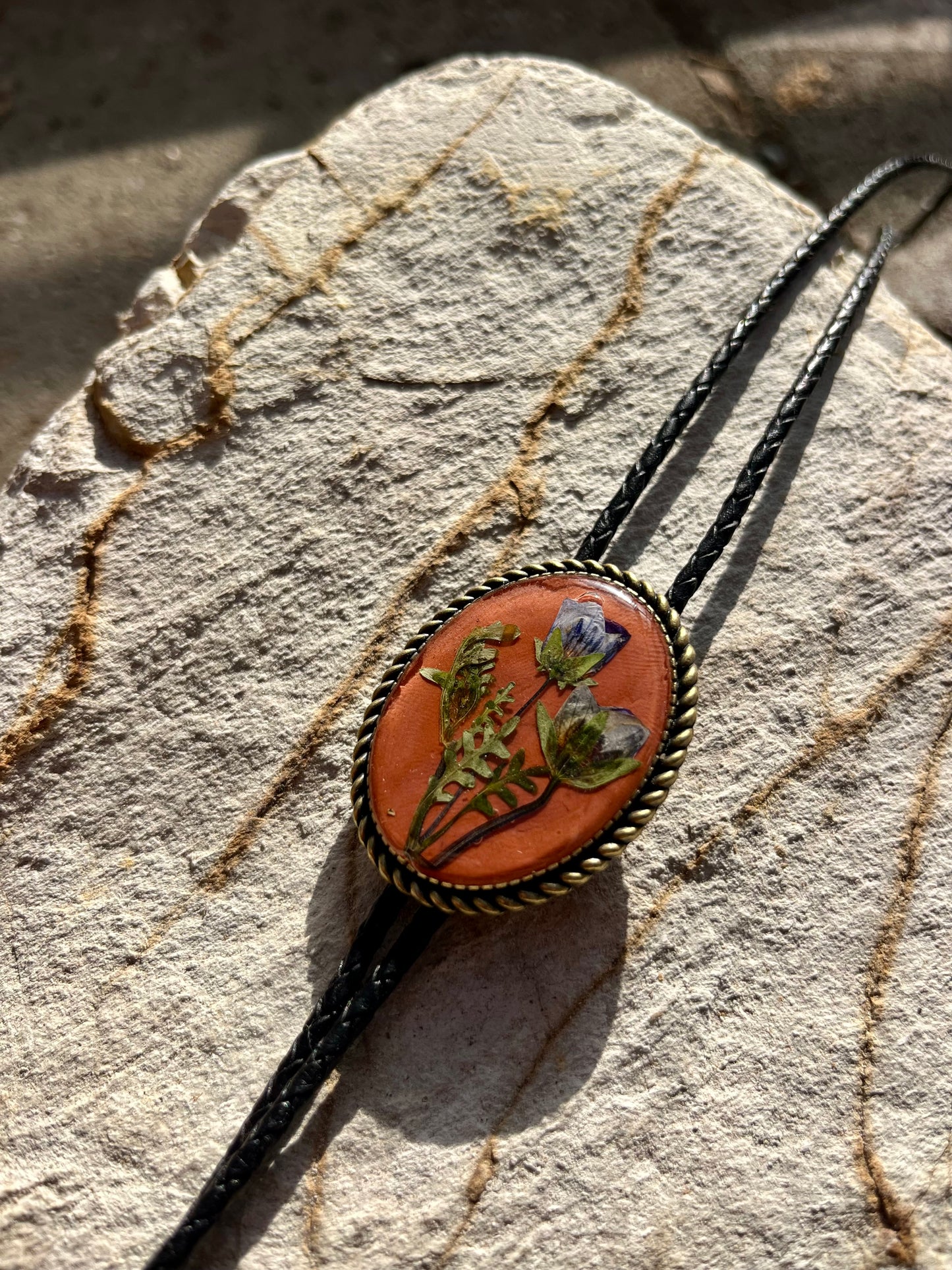 Blue eyes on Terracotta