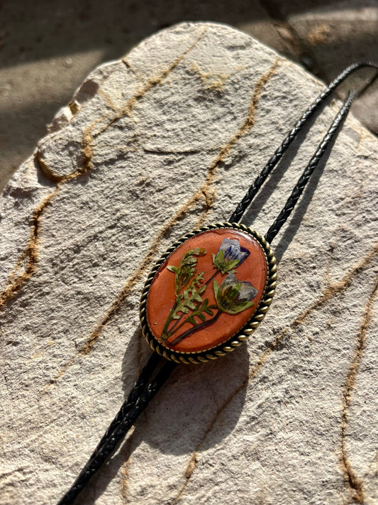 Blue eyes on Terracotta