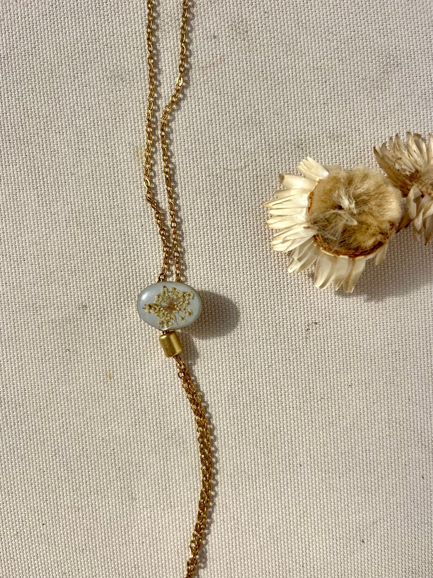 Dainty Bolo -  Queen Anne’s Lace  spring 2025 on Sky