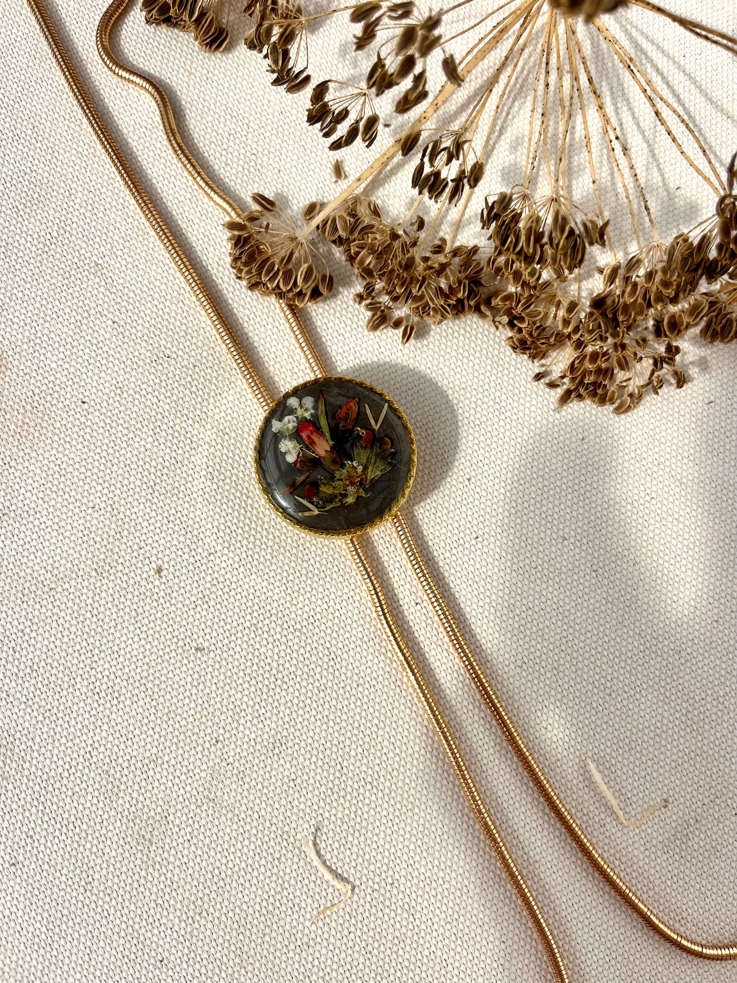 Red Fuchsia on Burnt Charcoal