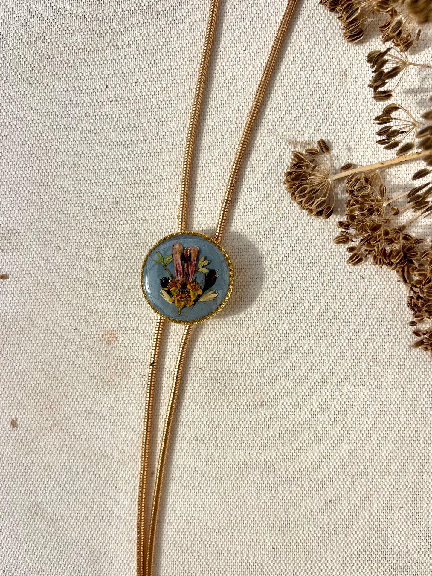 Coastal Medley on Ocean