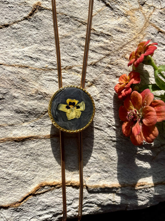 Garden grown hydrangea on Burnt Charcoal