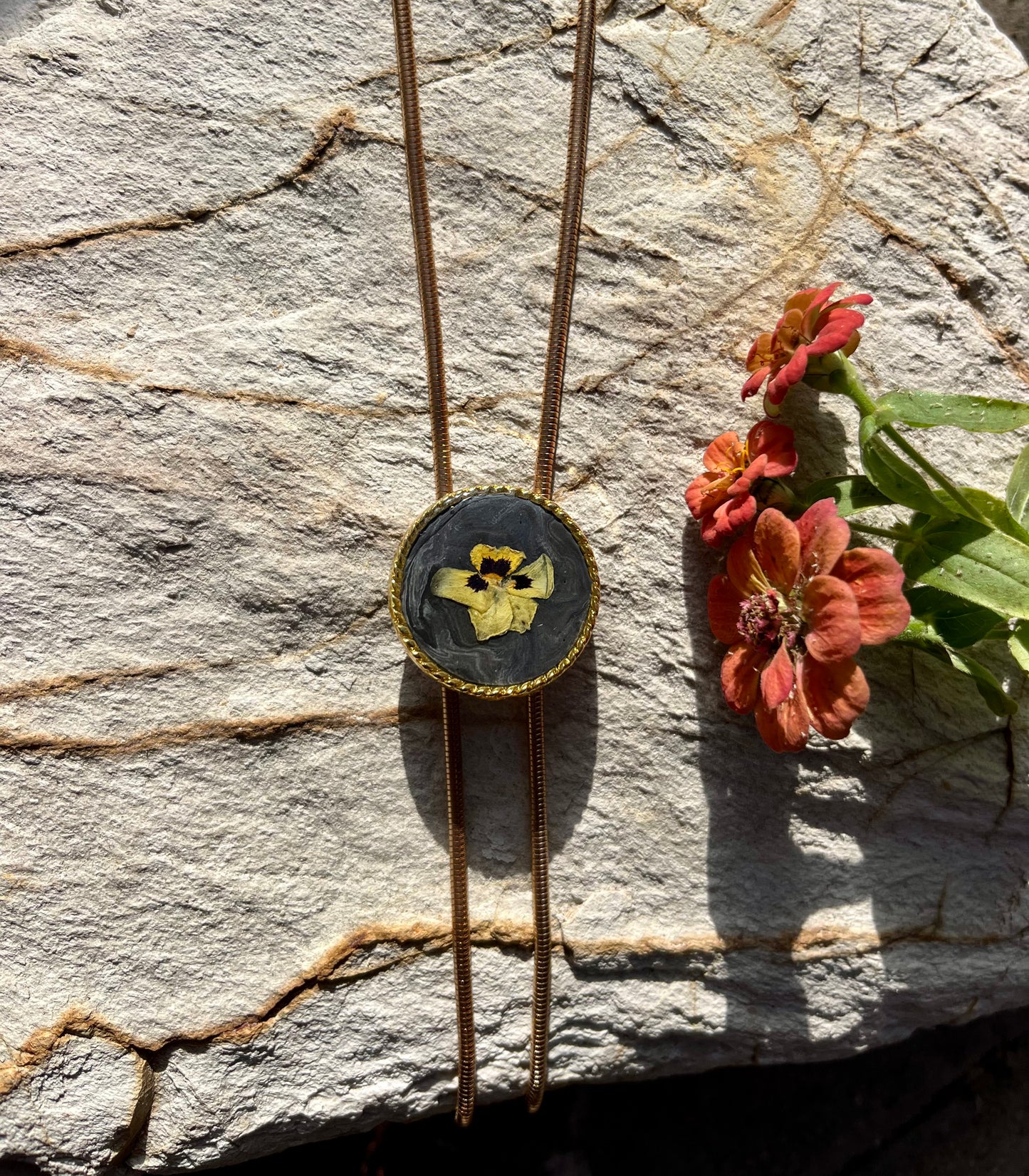 Garden grown hydrangea on Burnt Charcoal