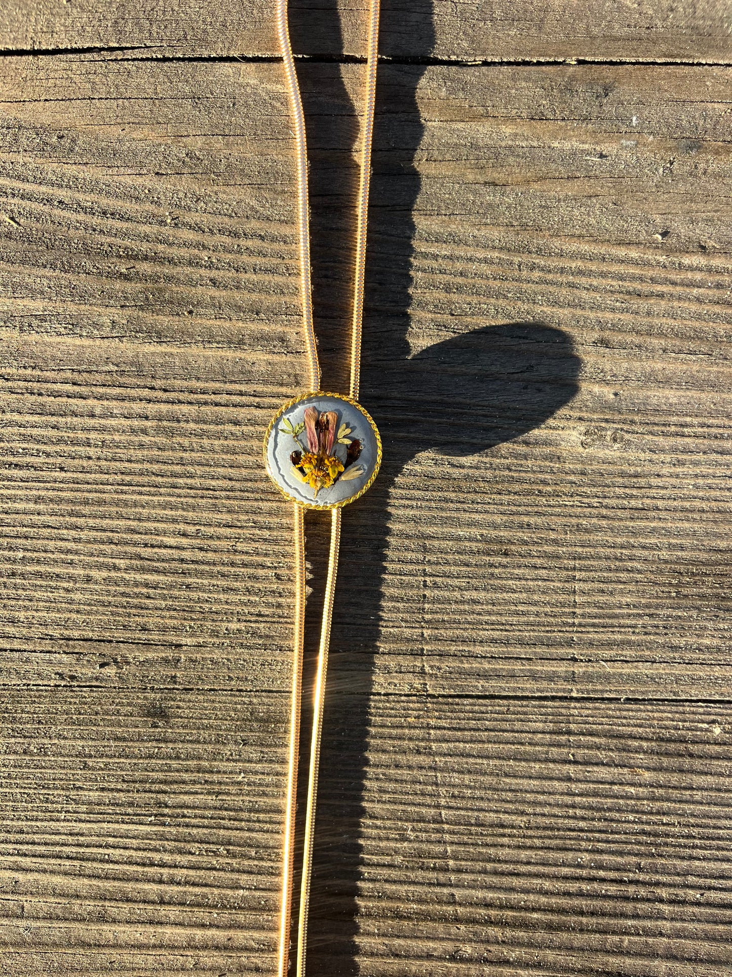 Coastal Medley on Ocean