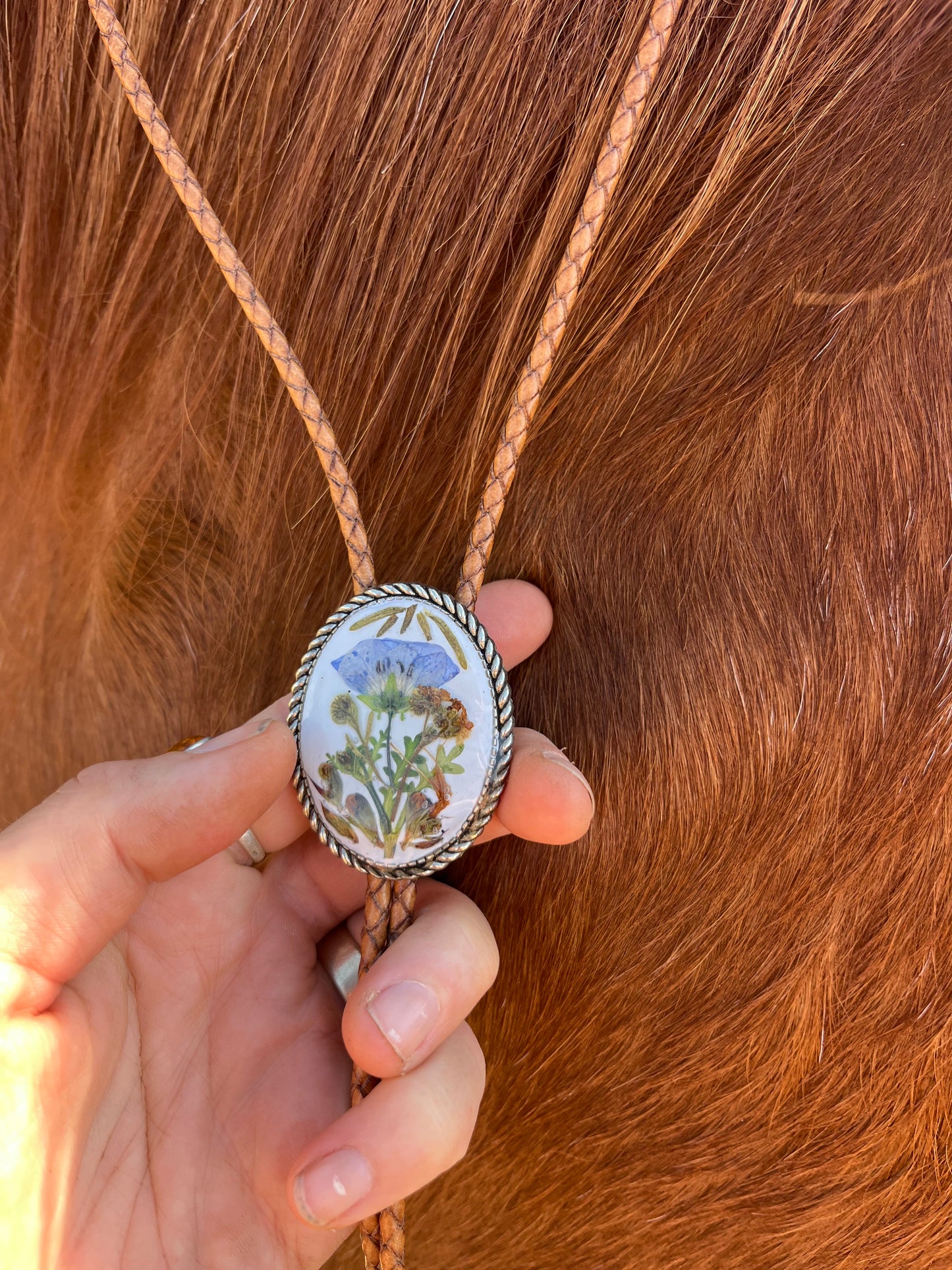 30mm blue eyes on white