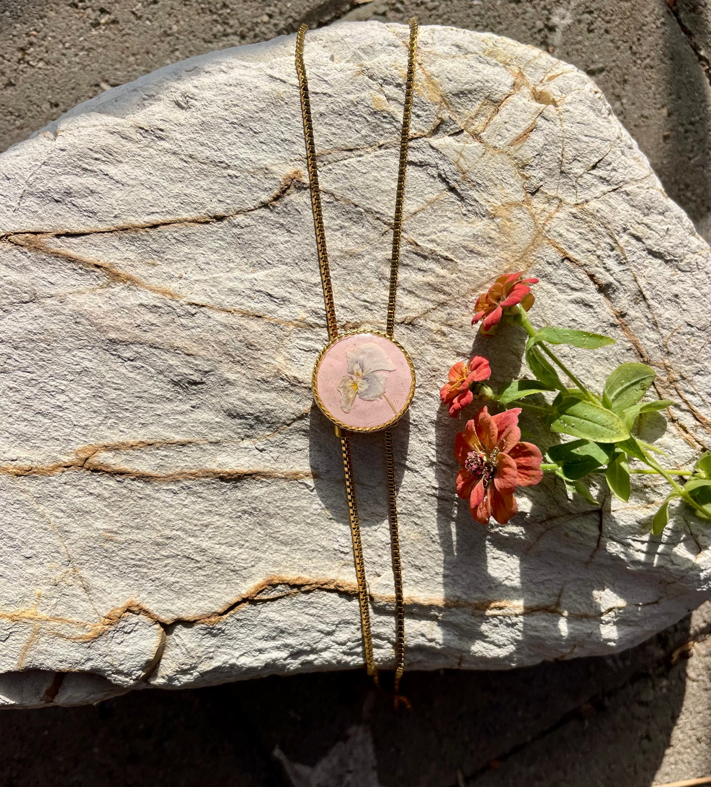 Hydrangea on Powder Pink
