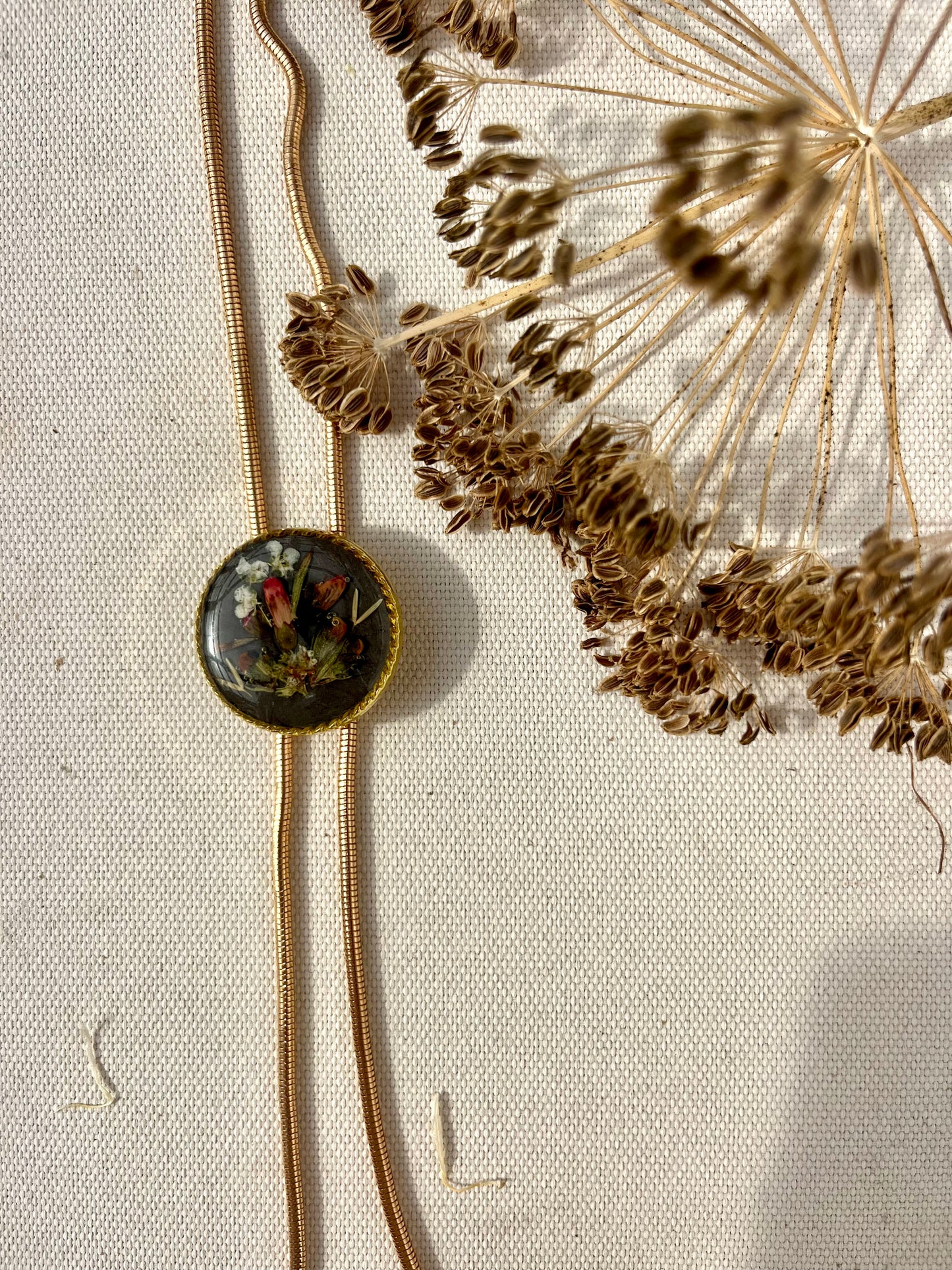 Red Fuchsia on Burnt Charcoal