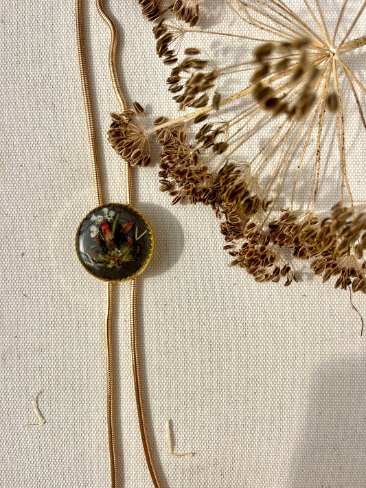 Red Fuchsia on Burnt Charcoal