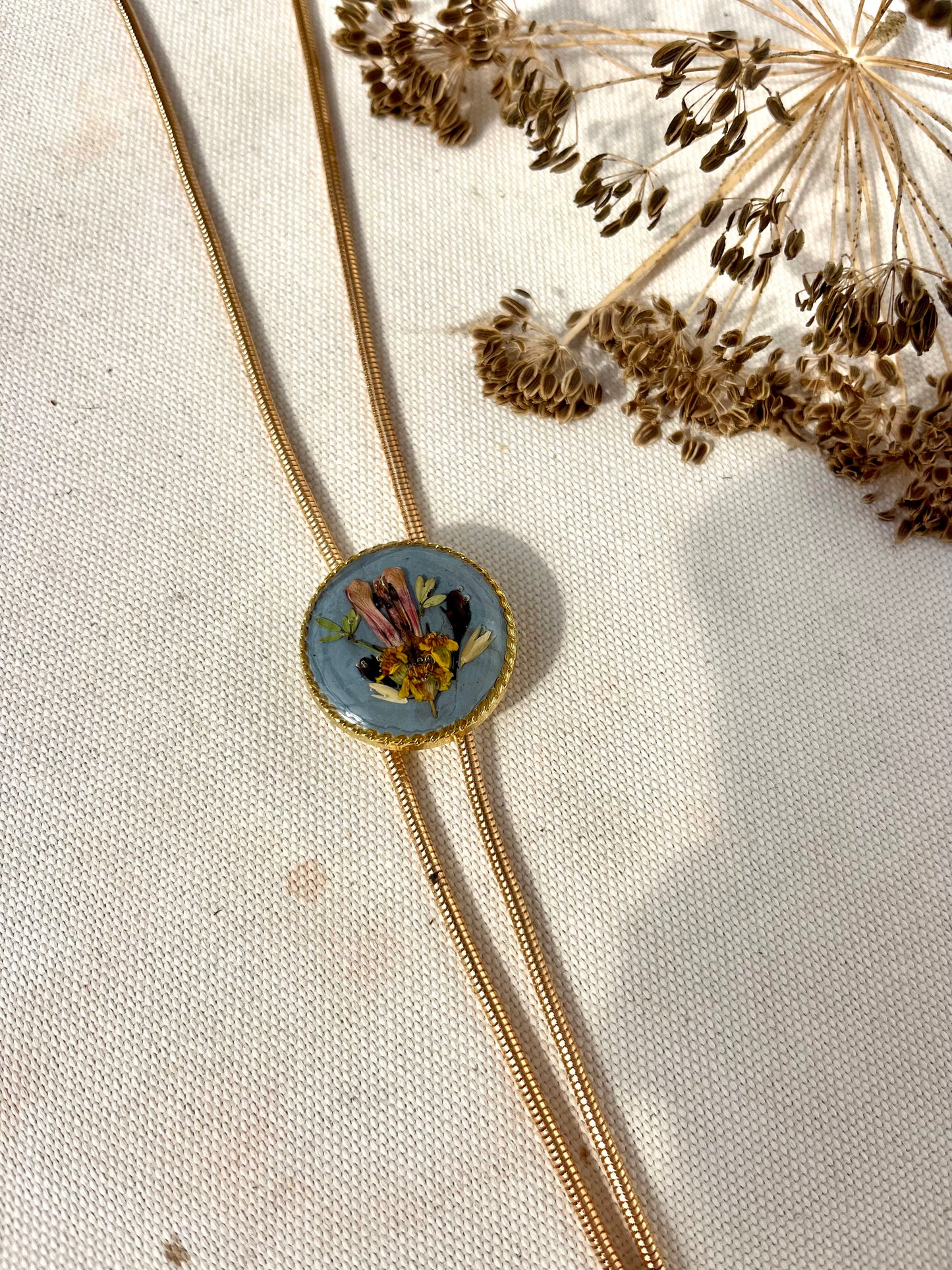 Coastal Medley on Ocean