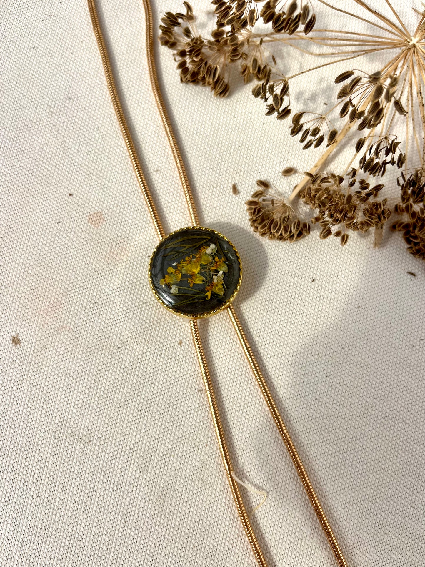 Golden Yarrow on Night