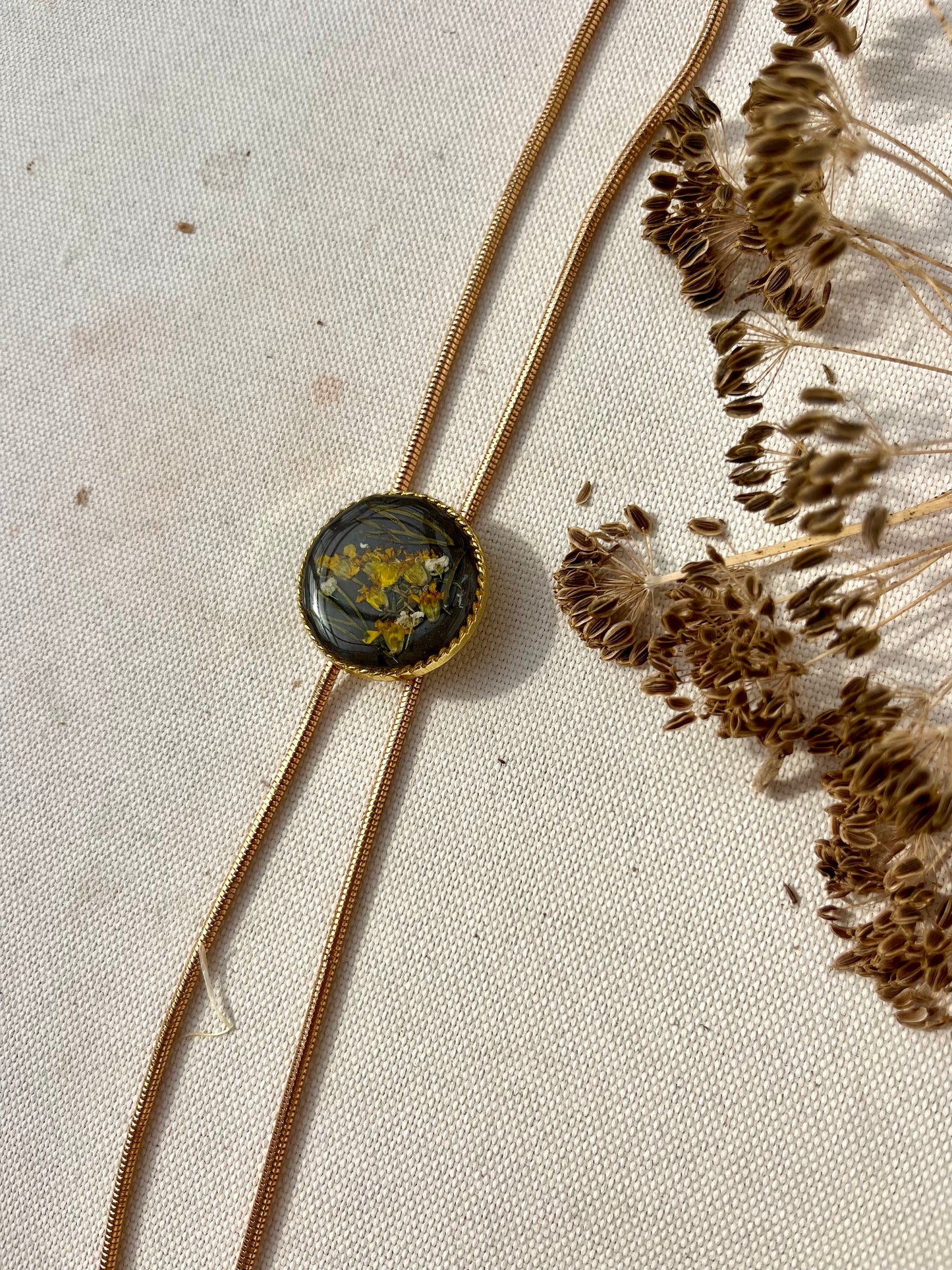 Golden Yarrow on Night