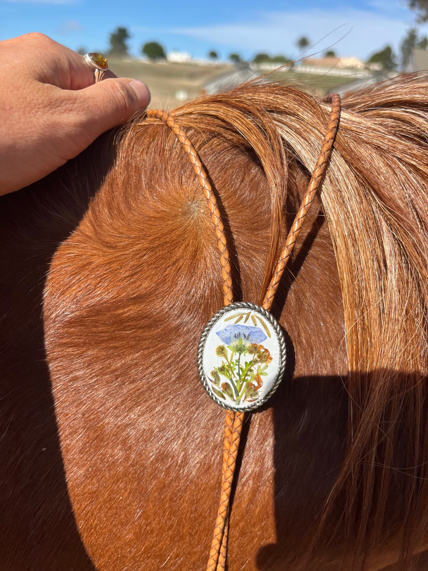 30mm blue eyes on white