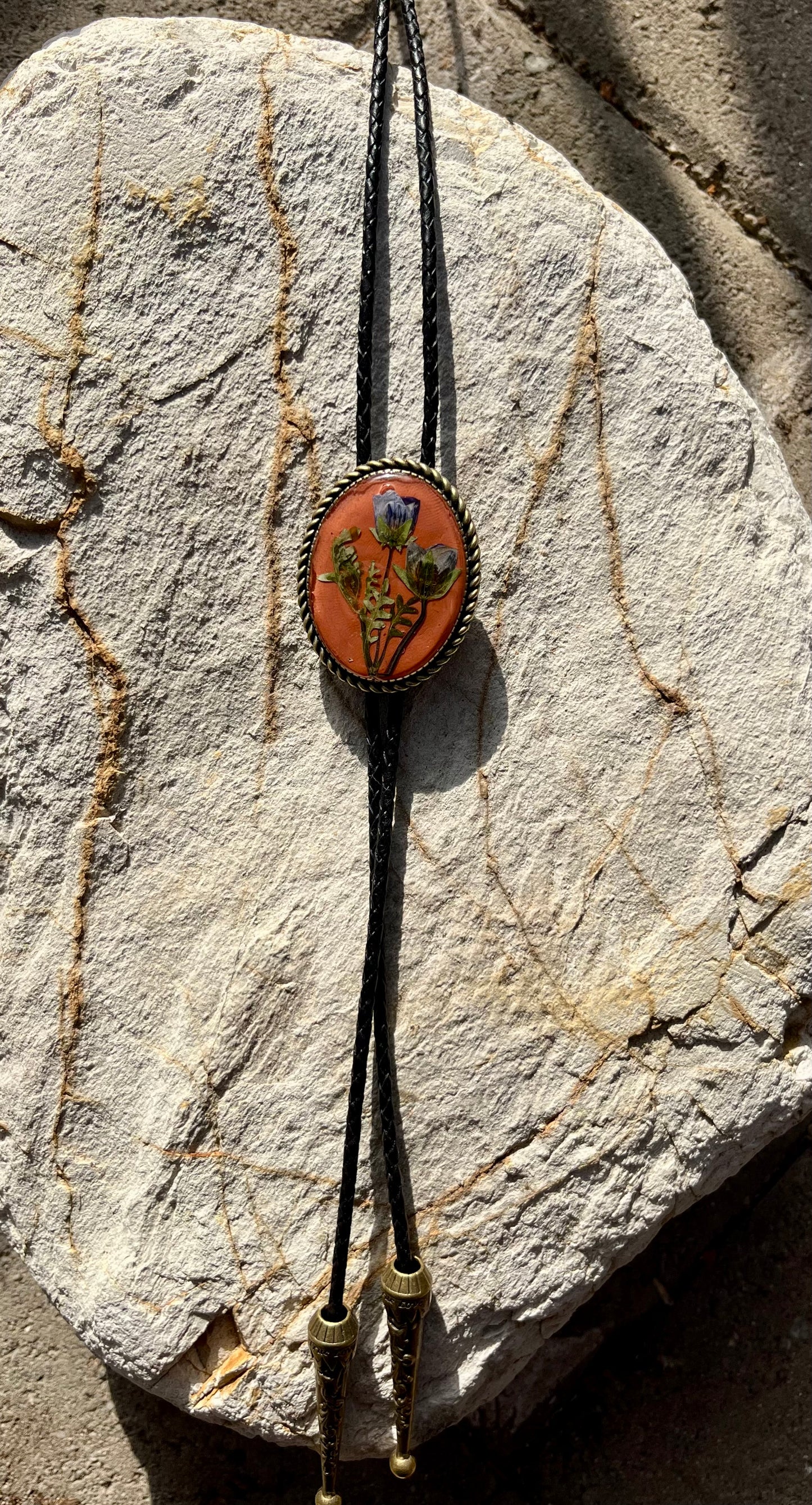 Blue eyes on Terracotta