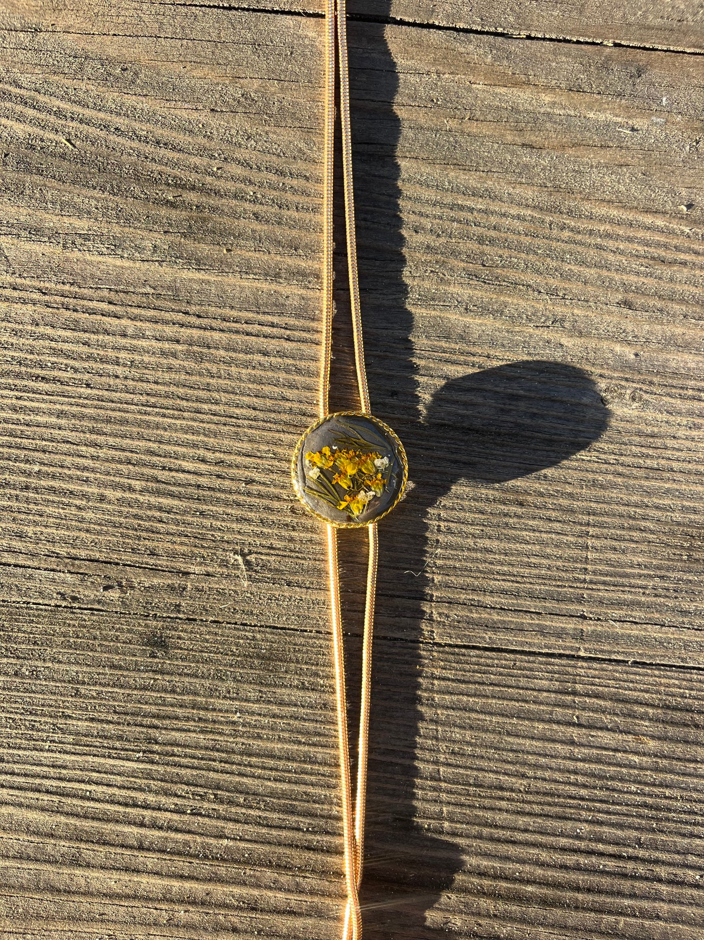 Golden Yarrow on Night